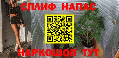 прущие грибы Нальчик