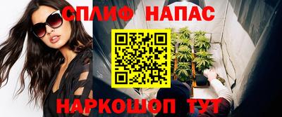 прущие грибы Нальчик