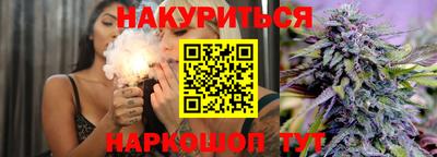 крисы Новодвинск
